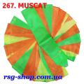 Гімнастична стрічка 5 м Chacott колір Мускатний (Muscat) Артикул 5-267